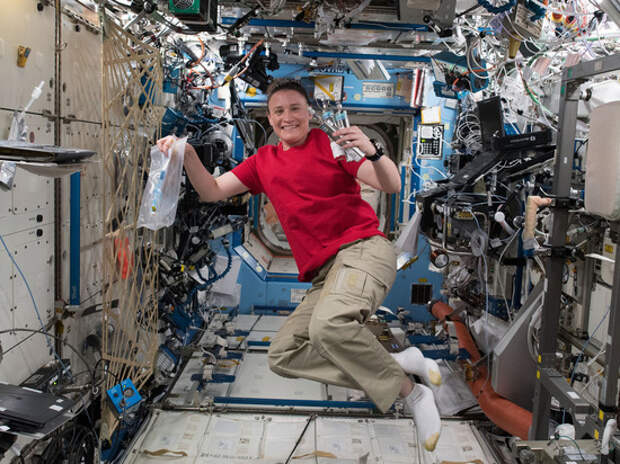 У астронавта NASA в космосе образовался тромб, ей посоветовали молиться