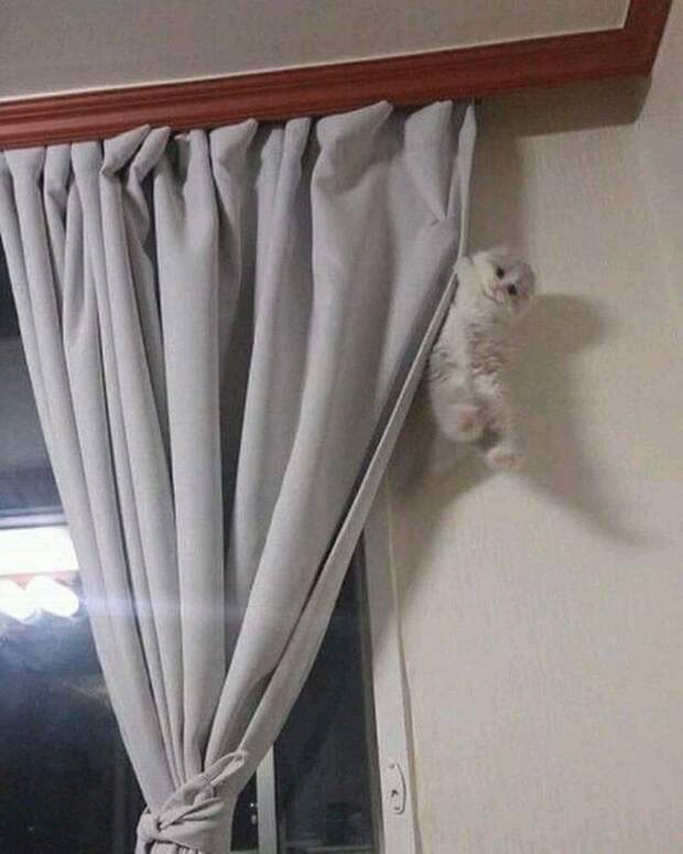 Добрый вечер