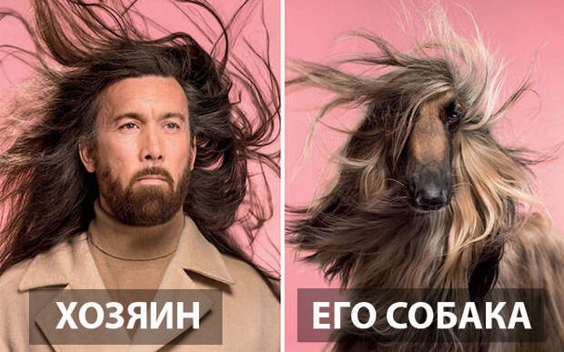 Похожи ли вы на свою собаку? Похожи ли вы на свою собаку?