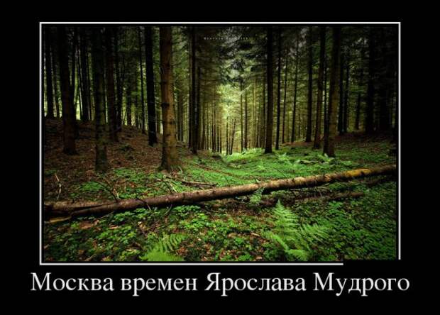 Пятничные демотиваторы свежие и веселые (11 фото) Пятничные демотиваторы свежие и веселые (11 фото)