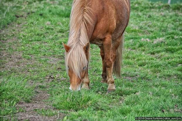 Заполярная Норвегия Norway41 Заполярная Норвегия