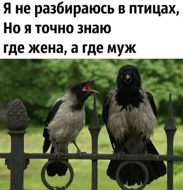 Я так не высыпаюсь на этой работе, хотя, вроде, ложусь рано Я так не высыпаюсь на этой работе, хотя, вроде, ложусь рано значит, купила, когда, брешу, права, платье, поезда, подойдем, двумя, девушками, Может, Пускай, познакомимся, спрашивает, позже, сперва, расплатятся…Что, такое, наблюдают, ресторане