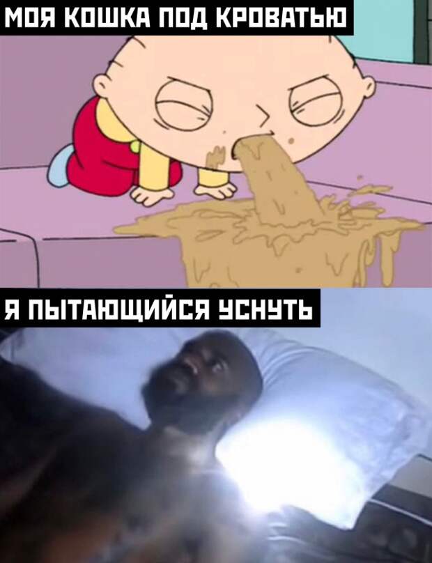 Смешные картинки 2 ноября 2021 года