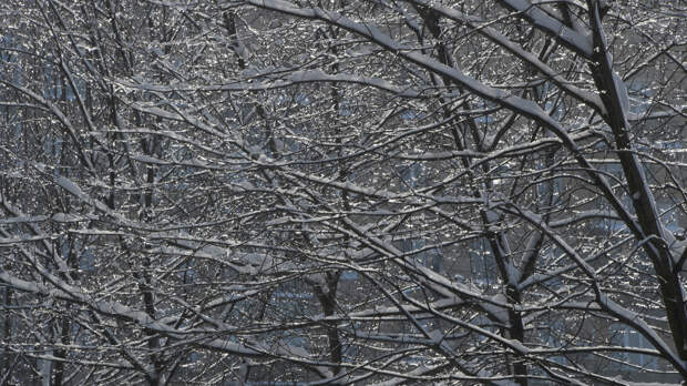 Москвичам пообещали алмазную пыль с неба