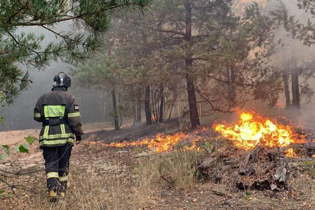 Власти Костанайской области Казахстана объявили ЧС из-за пожаров