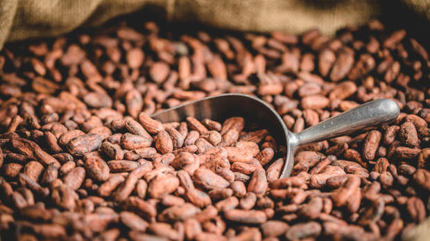 Сладкие надежды: как резкое снижение мировых цен на какао может отразиться на стоимости шоколада в России