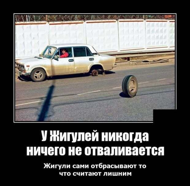 Демотиваторы 2 ноября 2021 года