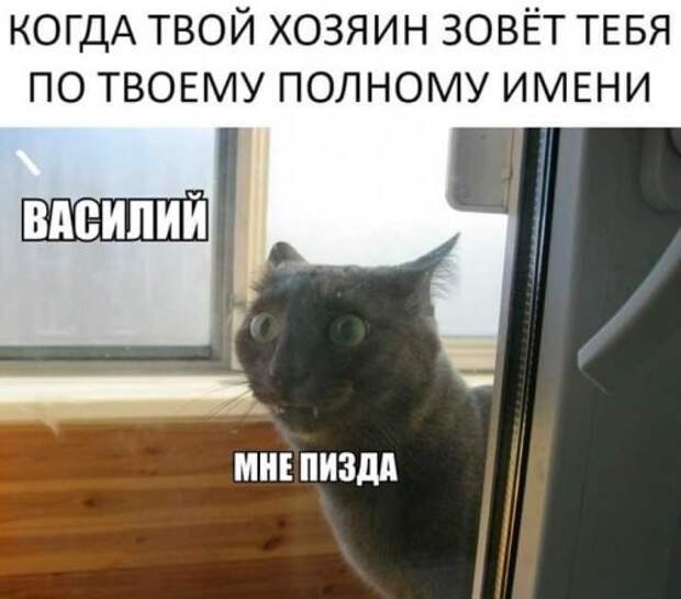 Василий