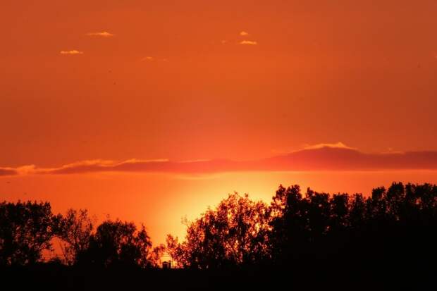 Астрофизики рассказали, как меняется уровень солнечной активности 8 февраля