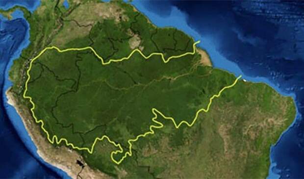 Удивительные факты об Амазонке амазонка, история, позновательное, факты