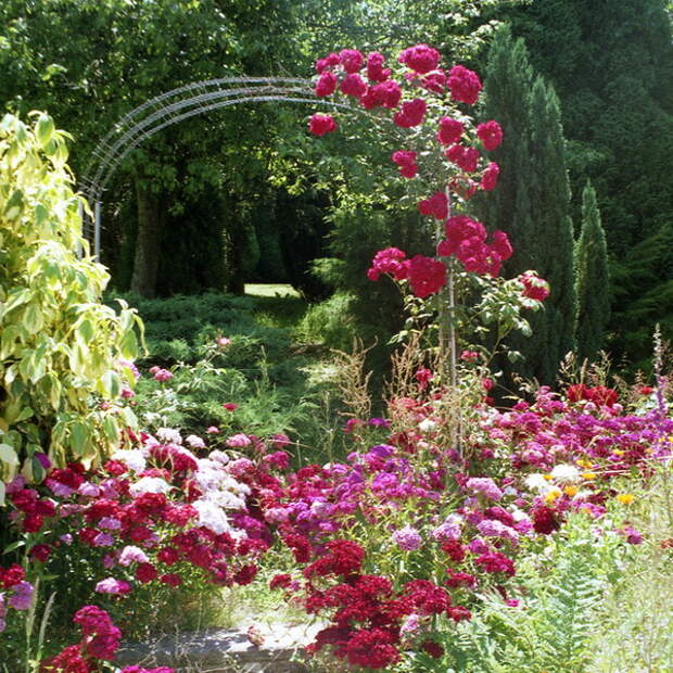 arbor-and-archway-in-garden1-14.jpg