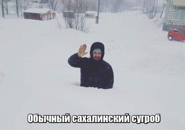 Подборка картинок. Дневной выпуск (50 фото)