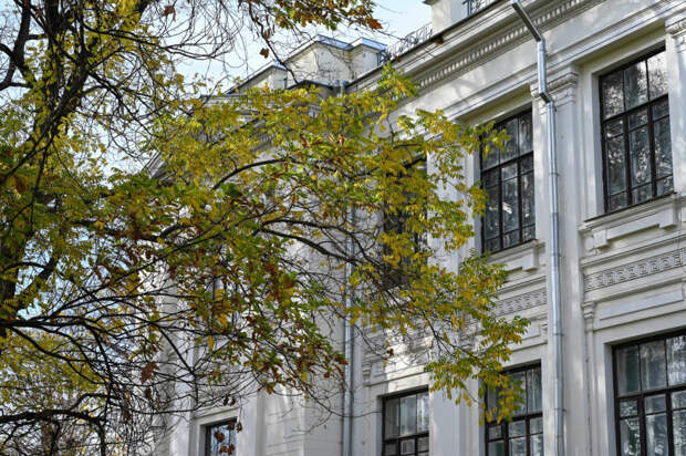 Погода 25 ноября: ночью до +2