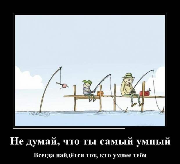 Демотиваторы (30 фото)