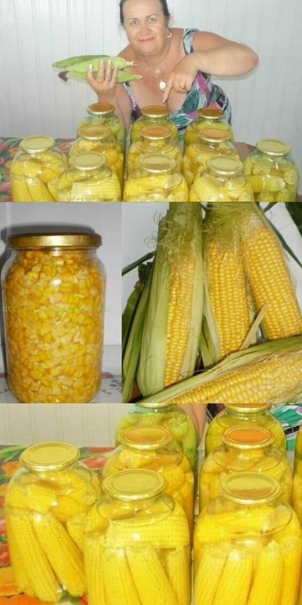 Кукуруза конечно же бывает не только сладкой