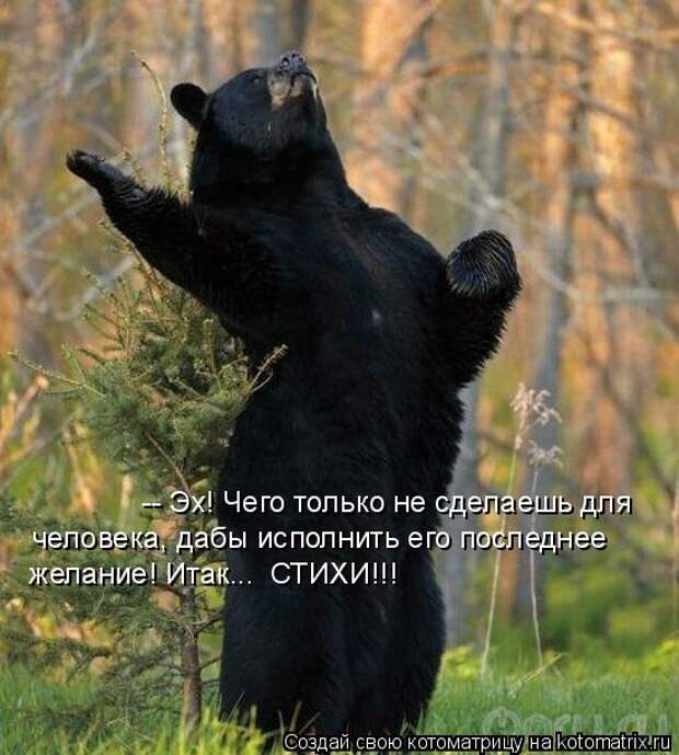 Котоматрица - -- Эх! Чего только не сделаешь для  человека, дабы исполнить его после