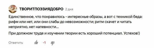 Разбор одного "шедевра" или ещё раз о критике