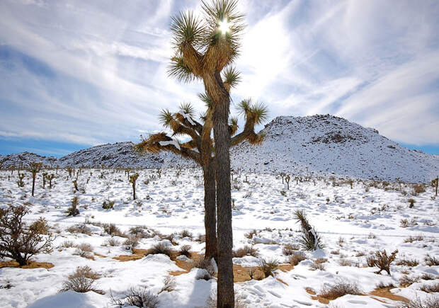 Национальные парки Америки