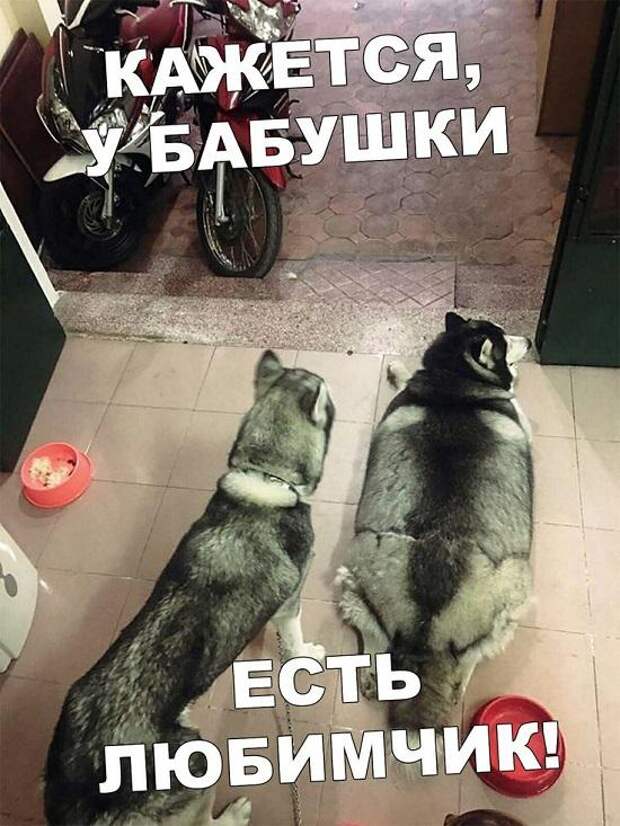 Свежие мемы на понедельник (15 шт)