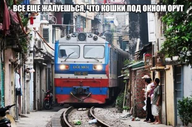Новые фотомемы для хорошего настроения (27 шт)