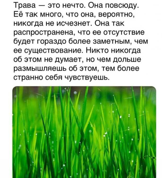 Забавные приколы и мысли пользователей Сети, которыми они решили поделиться со всеми
