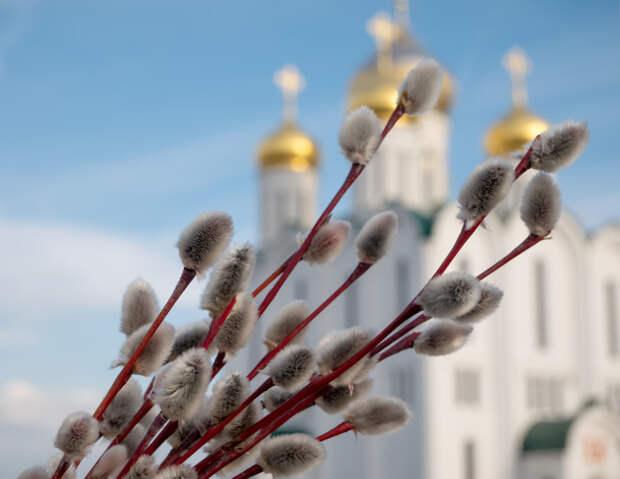 Русские православные готовятся встречать Вербное воскресенье 5 апреля