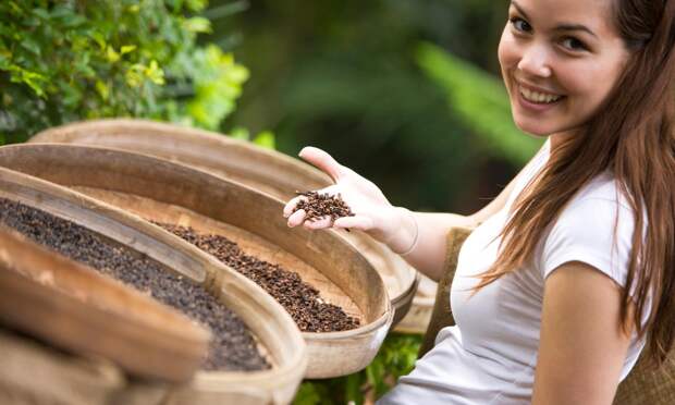 Достаточно одного бутона: в чем польза гвоздики, и не только для здоровья