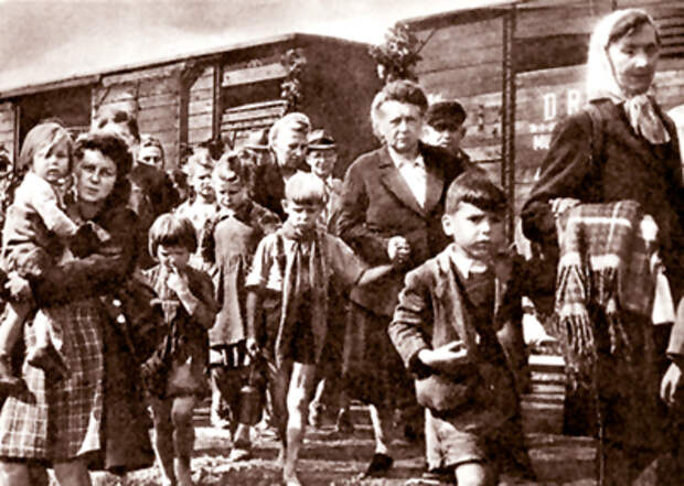 Это вам не добренький Сталин. Это депортация по-европейски