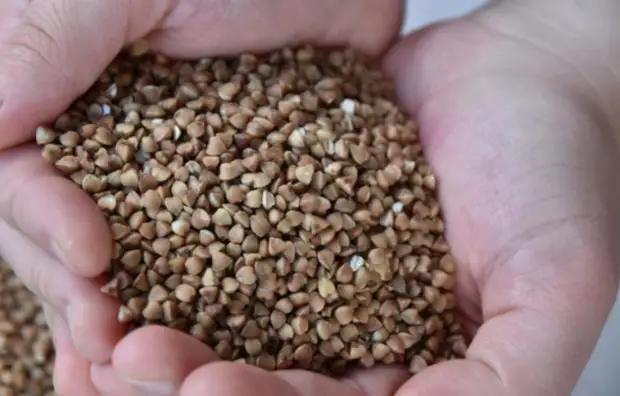 Немецкий фермер объяснил настоящую причину почему в Европе не едят гречку