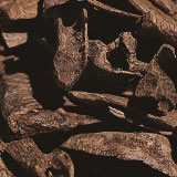 AQUILARIA
