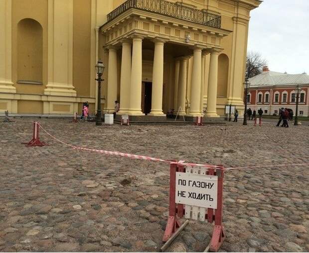 Суровый питерский газон Суровый питерский газон