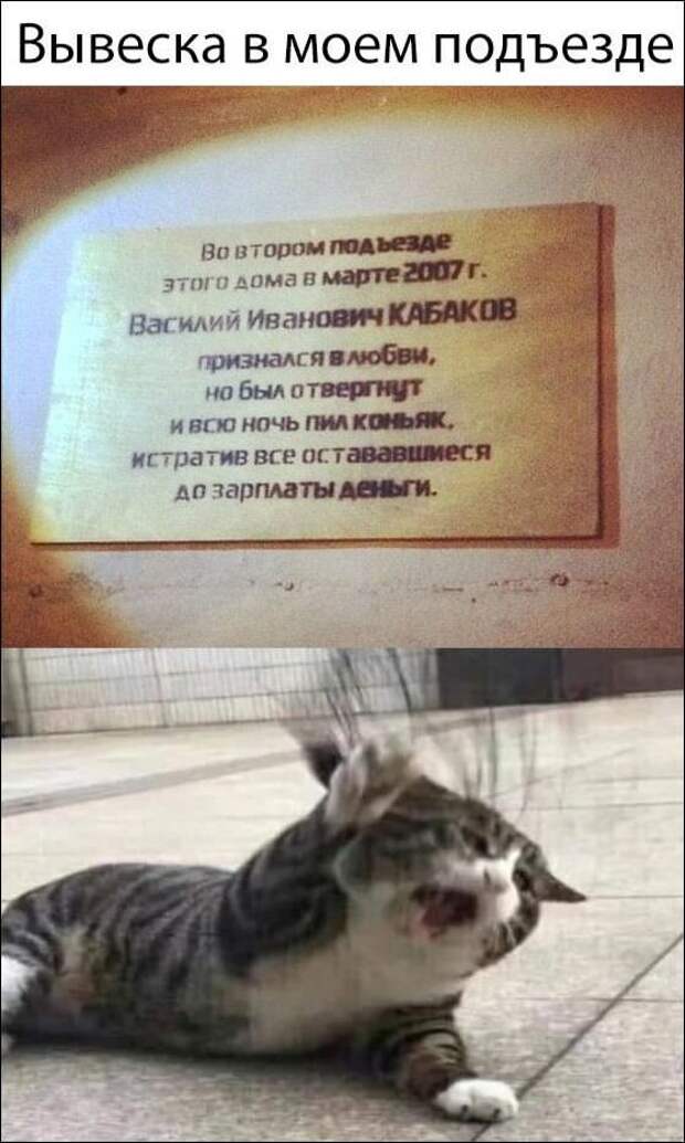 Мемы 