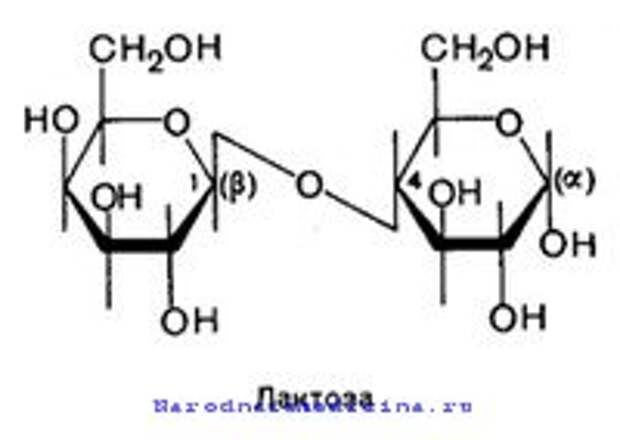 Схема синтеза лактозы
