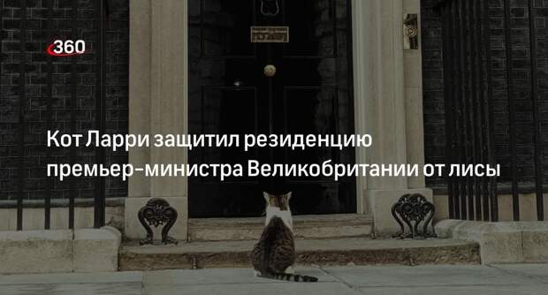 Кот Ларри защитил резиденцию премьер-министра Великобритании от лисы