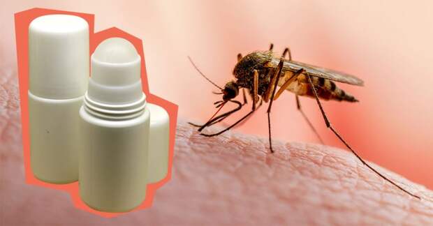 чем отпугнуть комаров