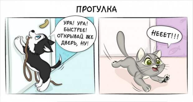 Как отличается жизнь с кошкой и жизнь с собакой 