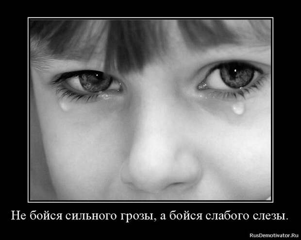 Демотиваторы и мотиваторы. Демотиваторы и веселые картинки_18-04-2013