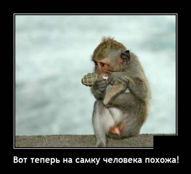 Демотиваторы 29 июля 2021