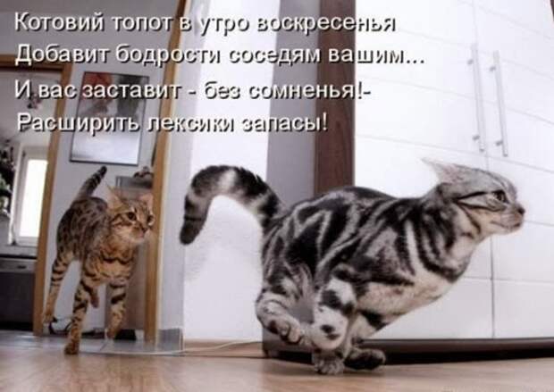 ba3f95008de26c8791df239359a_prev