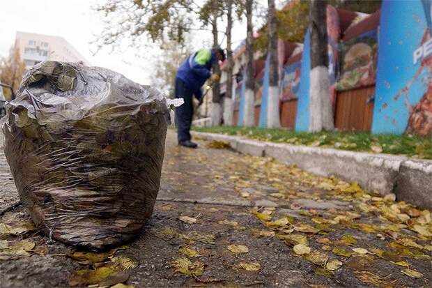 Штраф за листья