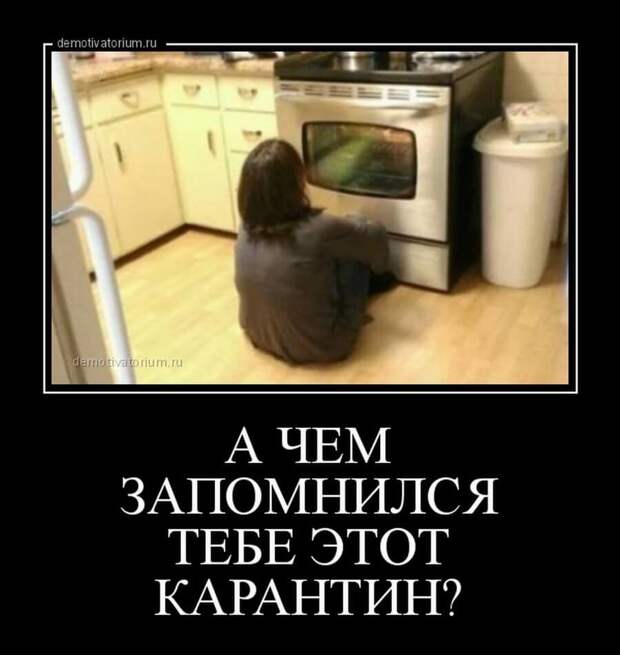 Пятничные демотиваторы: праздники, социум и живность