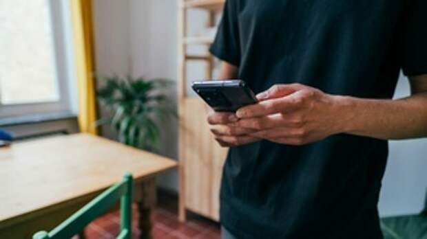 Фото:  Jonas Leupe / unsplash.com