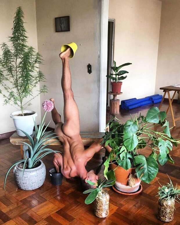 Популярный Instagram-аккаунт с полуголыми мужчинами и растениями