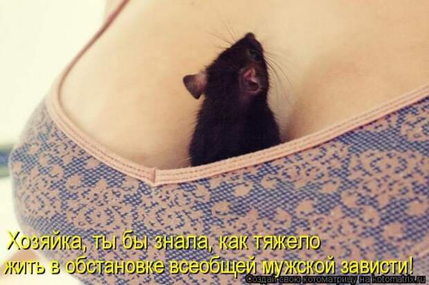 Мысли вслух :)