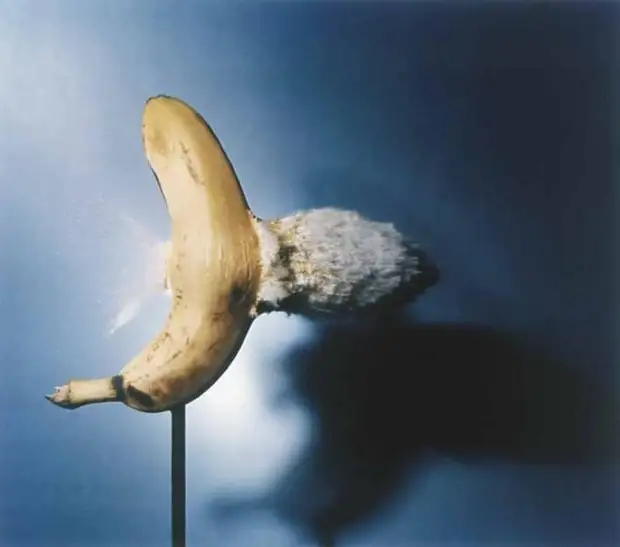 Камера, снимающая 580 000 000 000 кадров в секунду