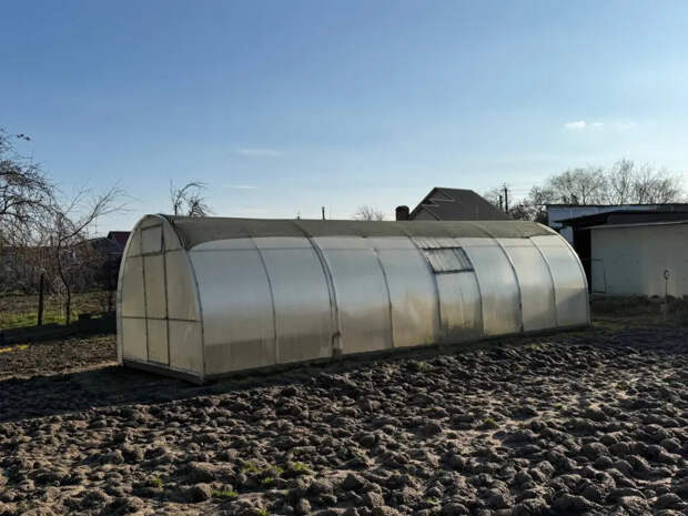 Улитки в теплице? Три копеечных средства заставят их забыть дорогу навсегда