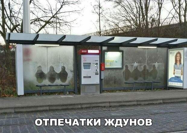 Смешные картинки с надписями приколы, смешные картинки, юмор