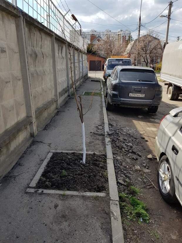 Тротуары, которые нас удивили Тротуары, которые нас удивили