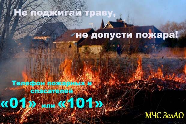 Не поджигай сухую траву! Не поджигай сухую траву!