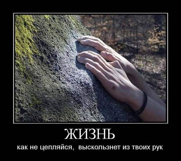 Демотиваторы (30 фото) Демотиваторы (30 фото)